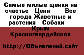 Самые милые щенки на счастье › Цена ­ 1 - Все города Животные и растения » Собаки   . Крым,Красногвардейское